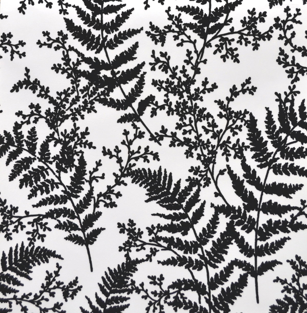 Forest Fern Flock Black Wallpaper, by York Wall, 33' length x 1'8.5" width x 0.02" depth