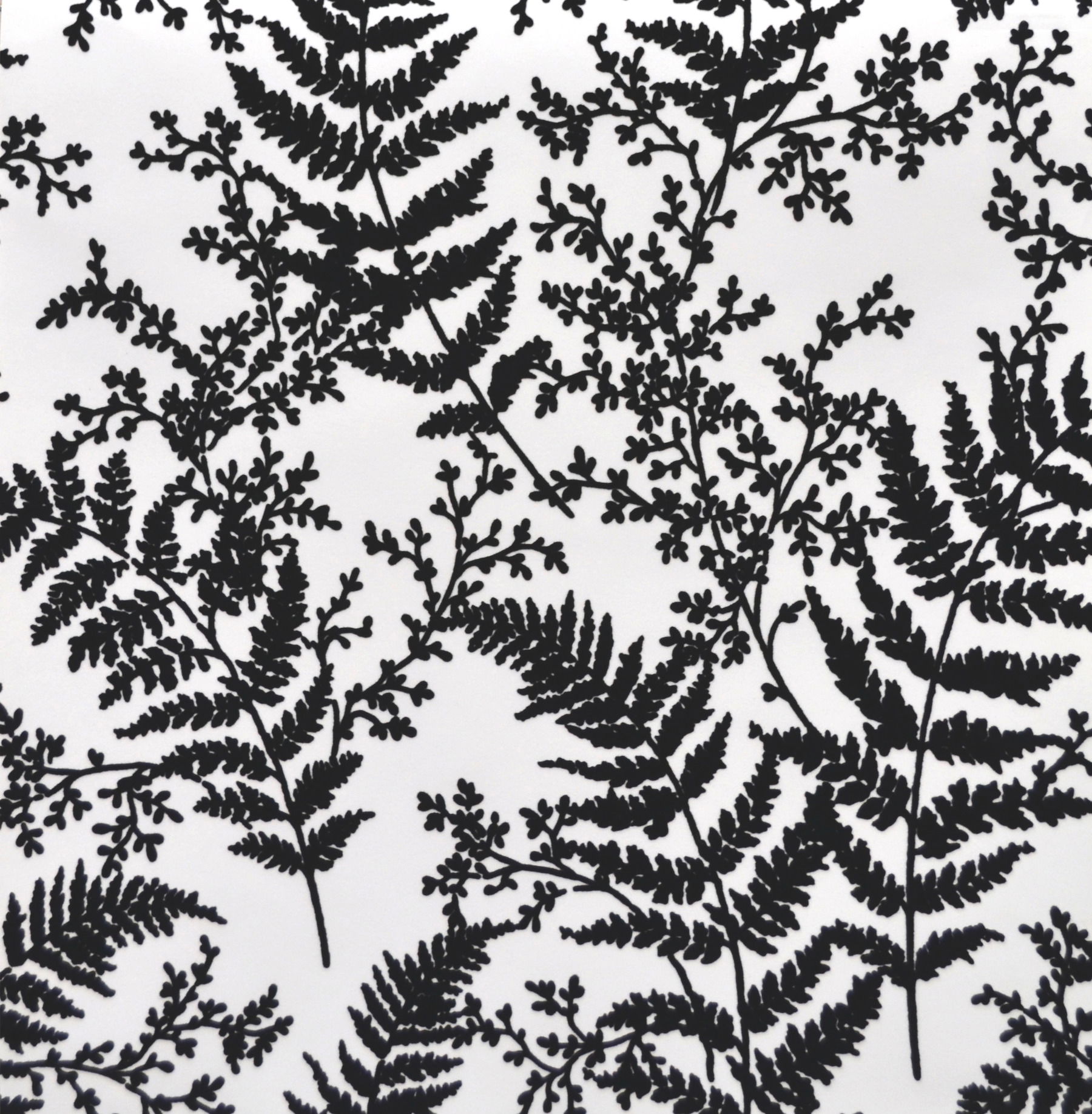 Forest Fern Flock Black Wallpaper large image 