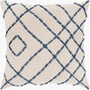 Emilio Accent Pillow, Decorative Pillow by Surya, 18" length x 18" width thumbnail