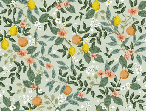 Citrus Grove Mint Peel & Stick Wallpaper