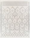 Aliyah Shag Machine Woven Rug, by Surya, 1'3.75" length x 1'3.75" width thumbnail