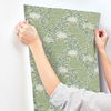 Highgrove Sage Wallpaper thumbnail 5