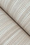Allineate Seashell Wallpaper thumbnail 2