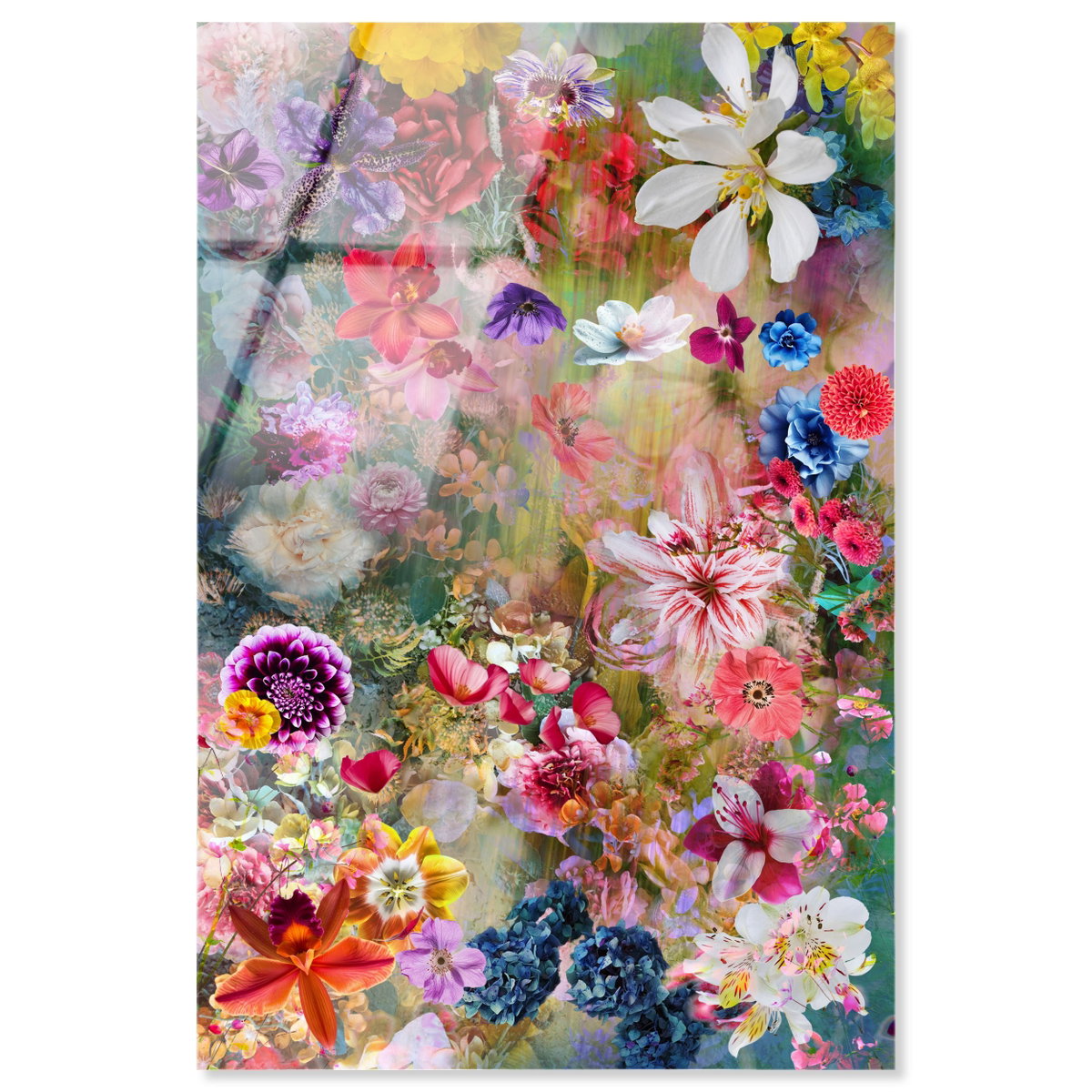 Azlan Bloom Floral (No Embellishment), Art by Oliver Gal,  15x10 View 1