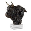 Bison Bust Bronze Sculpture thumbnail 0