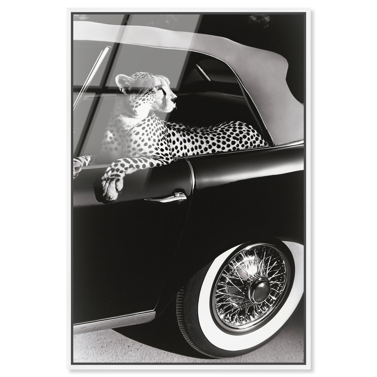 Convertible Feline I (No Embellishment), Art by Oliver Gal,  24x36 View 1
