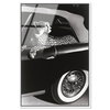 Convertible Feline I (No Embellishment), Art by Oliver Gal,  24x36 thumbnail 1