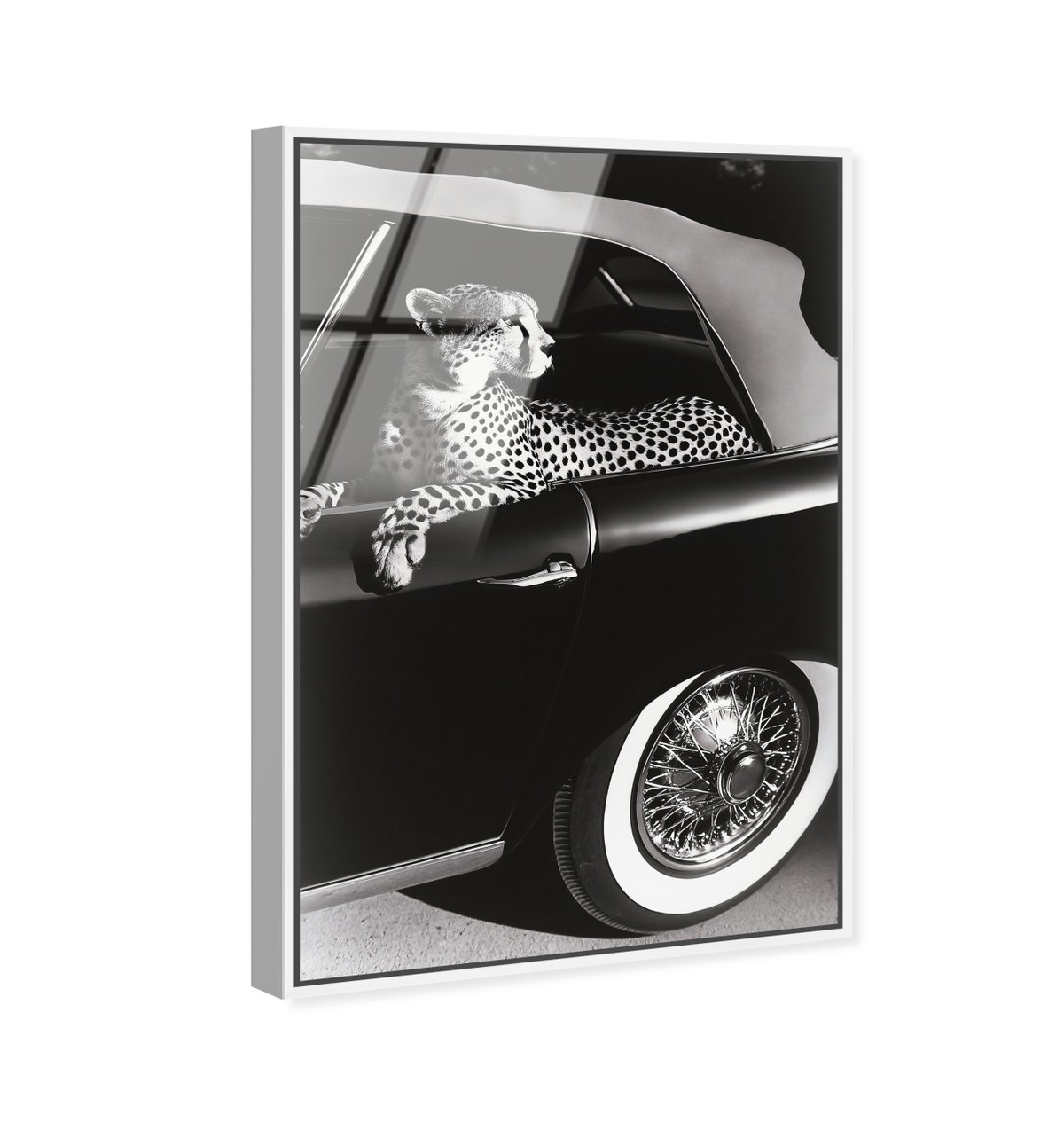 Convertible Feline I (No Embellishment), Art by Oliver Gal,  24x36 View 2