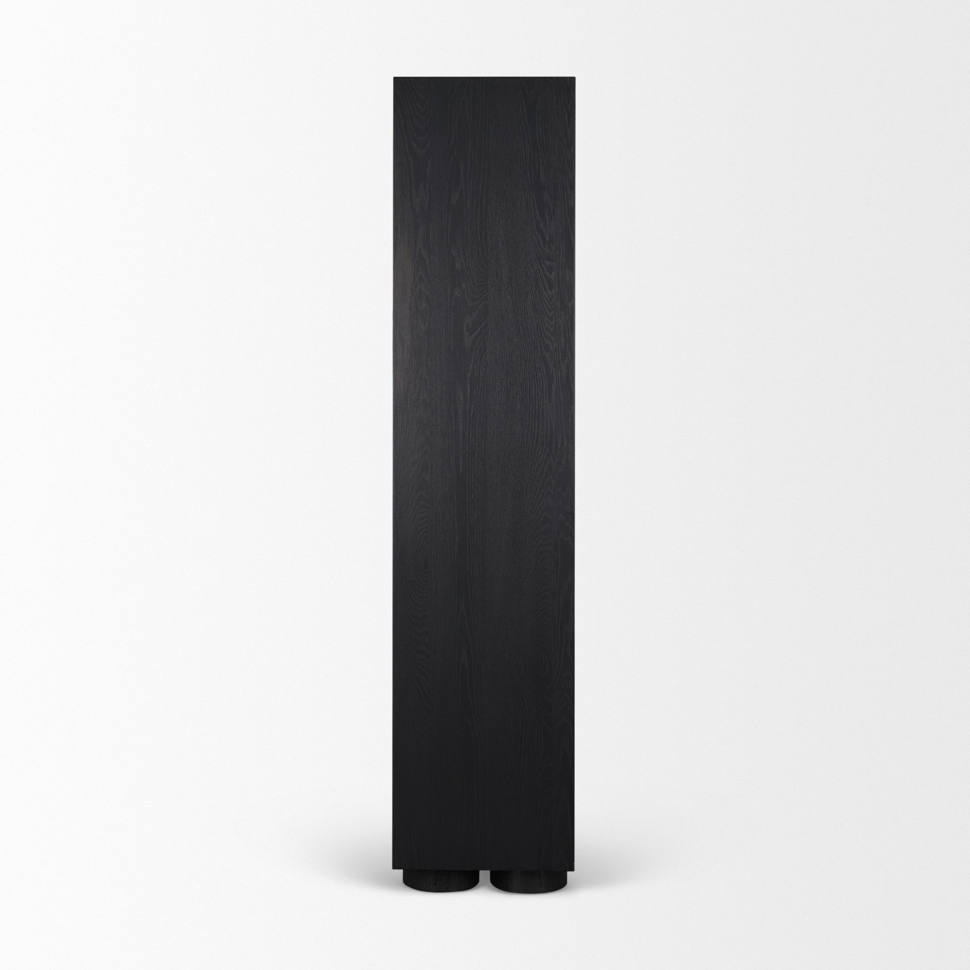 Tabor Natural Wood with Black Oak Frame Bookcase large image 