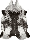 Loloi Grand Canyon Rug, 3'10" length x 5' width thumbnail 1