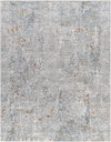 Dresden Machine Woven Rug, by Surya, 9'6.17" length x 6'6.74" width thumbnail