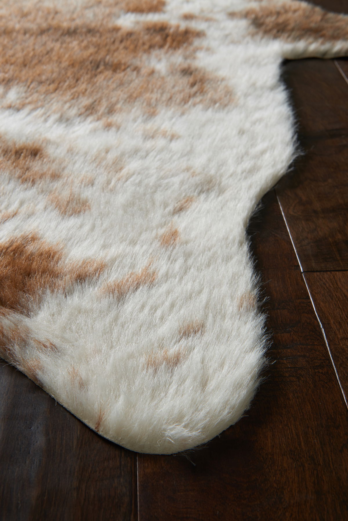 Loloi Grand Canyon Rug, 6'2" length x 8' width View 5