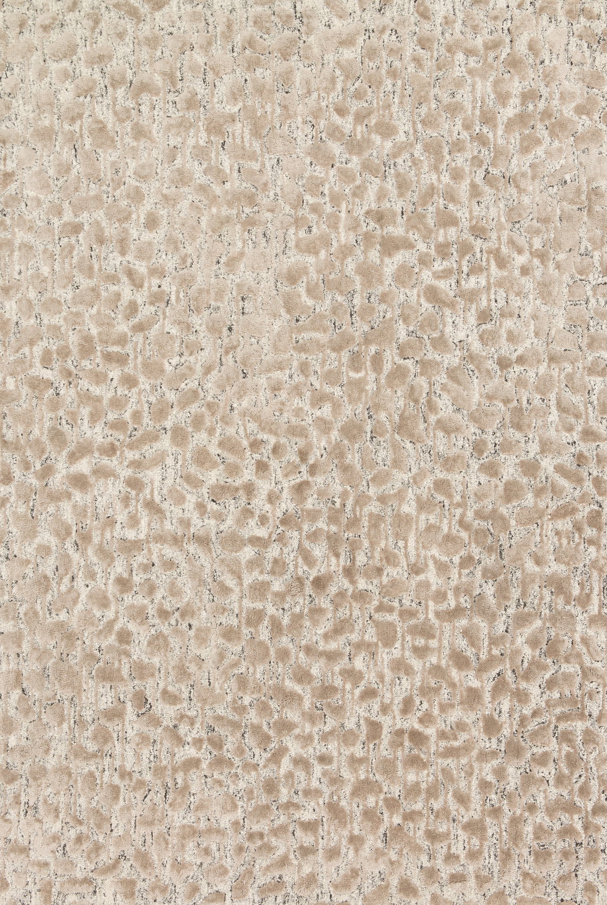 Loloi Juneau Rug, 5' length x 7'6" width View 1