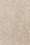 Loloi Juneau Rug, 5' length x 7'6" width thumbnail 1