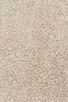 Loloi Juneau Rug thumbnail 0