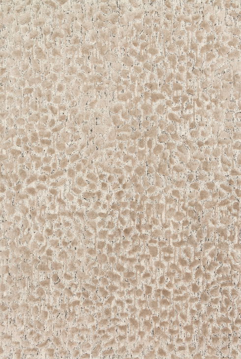 Loloi Juneau Rug