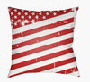Americana III Accent Pillow, Decorative Pillow by Surya, 20" length x 20" width thumbnail