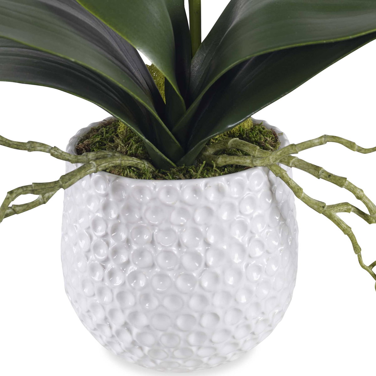 Cami White Orchid, by Uttermost, 1'2" width x 2' height x 8" depth View 3