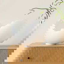 Online Designer Home/Small Office Burled Bowl, Glossy White