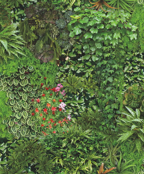Living Wall Green Peel & Stick Wallpaper