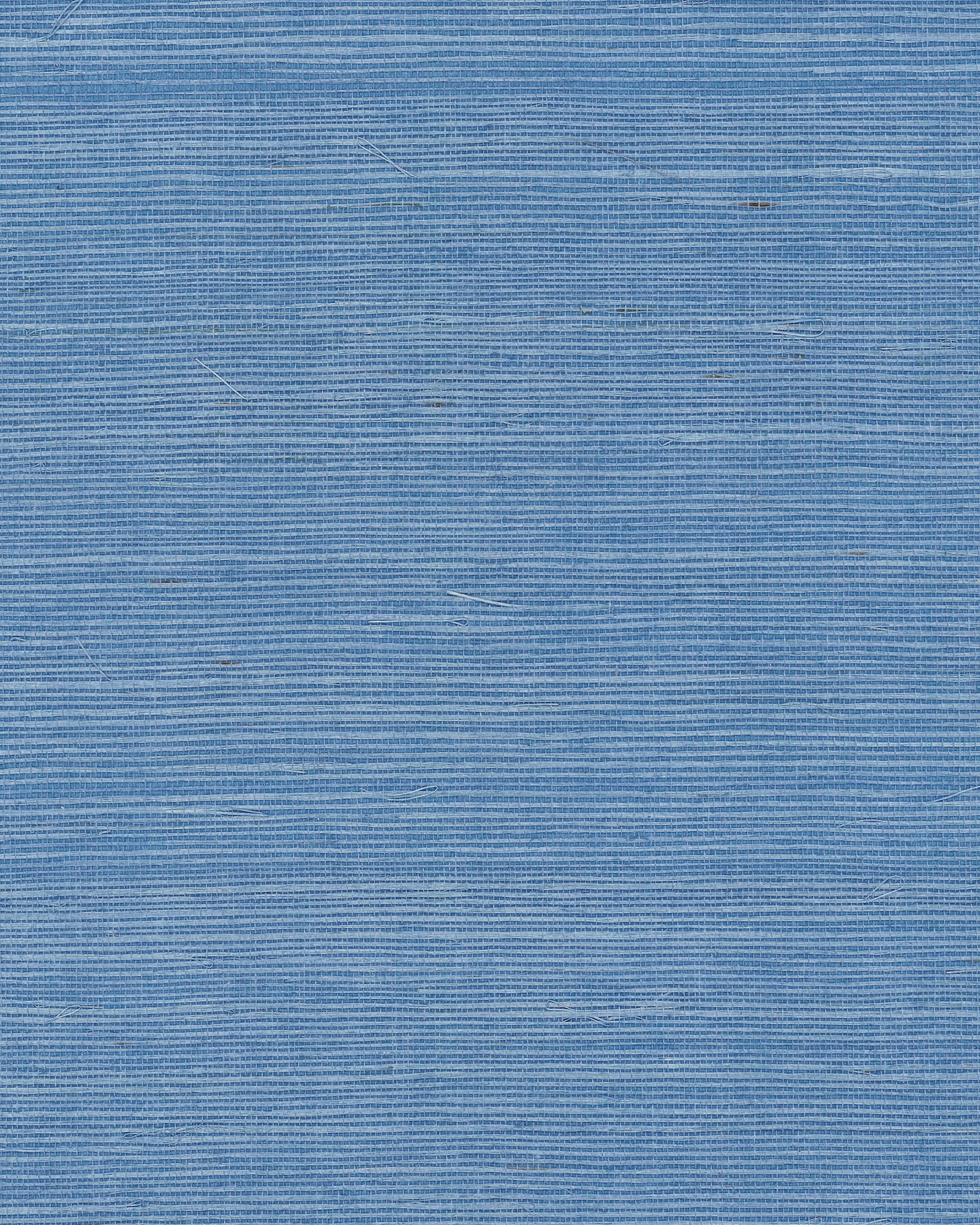 Maguey Sisal Azure Wallpaper large image 