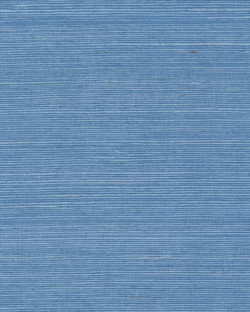 Maguey Sisal Azure Wallpaper