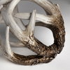 Ramus I (Small) 5L x 5W Brown Antler Shaped Decorative Resin Orb Ball, Decorative Object by Mercana, 4.8" length x 4.8" width x 4.8" height thumbnail 6