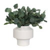 Essence Eucalyptus Accent & Vase, Artificial Plants & Flower by Uttermost, 16" width x 16" height x 16" depth thumbnail 5