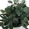 Essence Eucalyptus Accent & Vase, Artificial Plants & Flower by Uttermost, 16" width x 16" height x 16" depth thumbnail 6