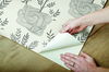 Seedlings Grey Peel & Stick Wallpaper, by York Wall, 20' length x 1'8.5" width x 0.02" depth thumbnail 5