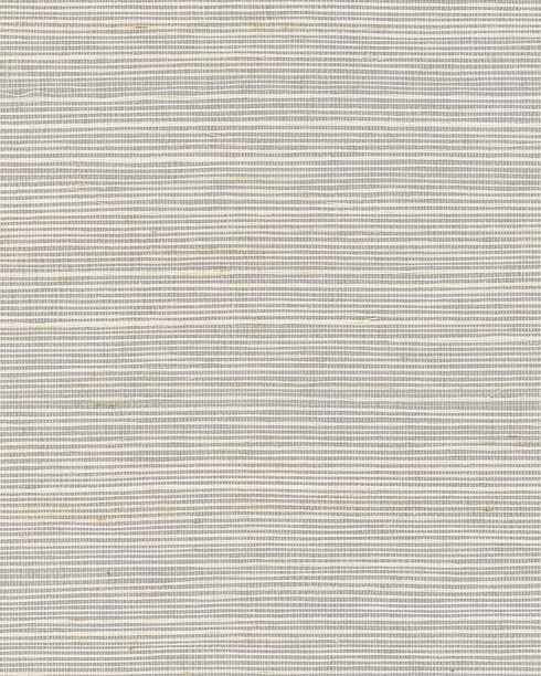 Maguey Sisal Cloudy Wallpaper