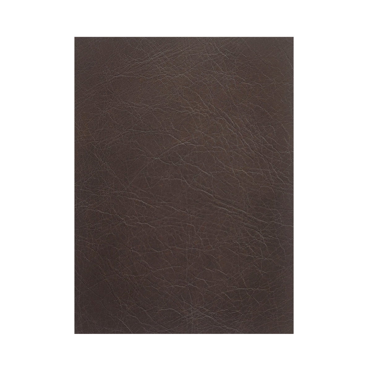 Thurlow U Shaped Modular Armless Sectional   espresso Brown Leather, Sectional Sofa by Moe's Home, 165.4" width x 33" height x 82.7" depth View 6