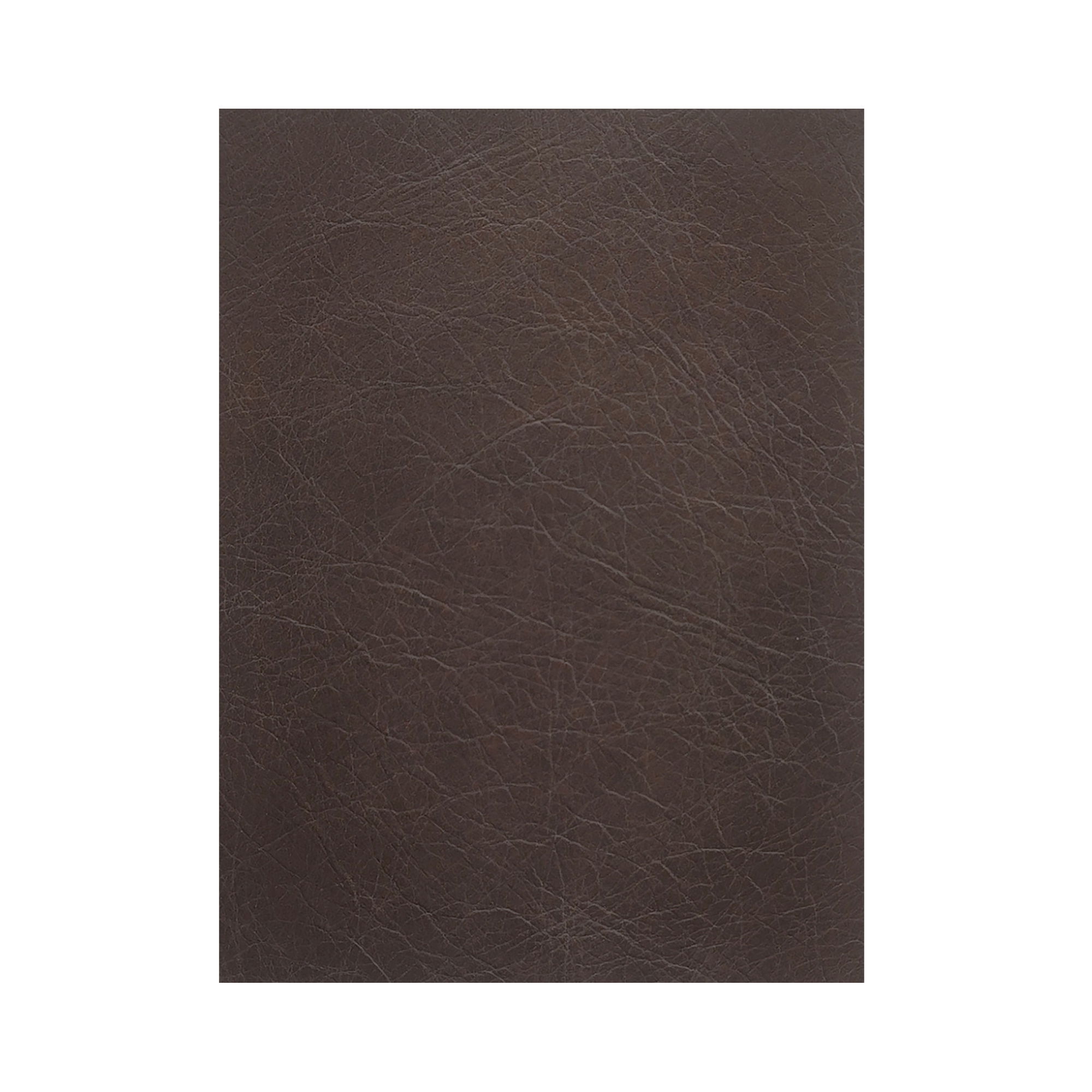Thurlow U Shaped Modular Armless Sectional   espresso Brown Leather large image 