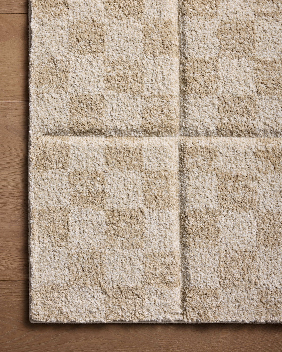 Loloi Silas Rug, 2'7" length x 4' width View 3