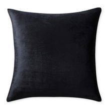 Online Designer Combined Living/Dining Solid Velvet Pillow Cover, 22" x 22", Black