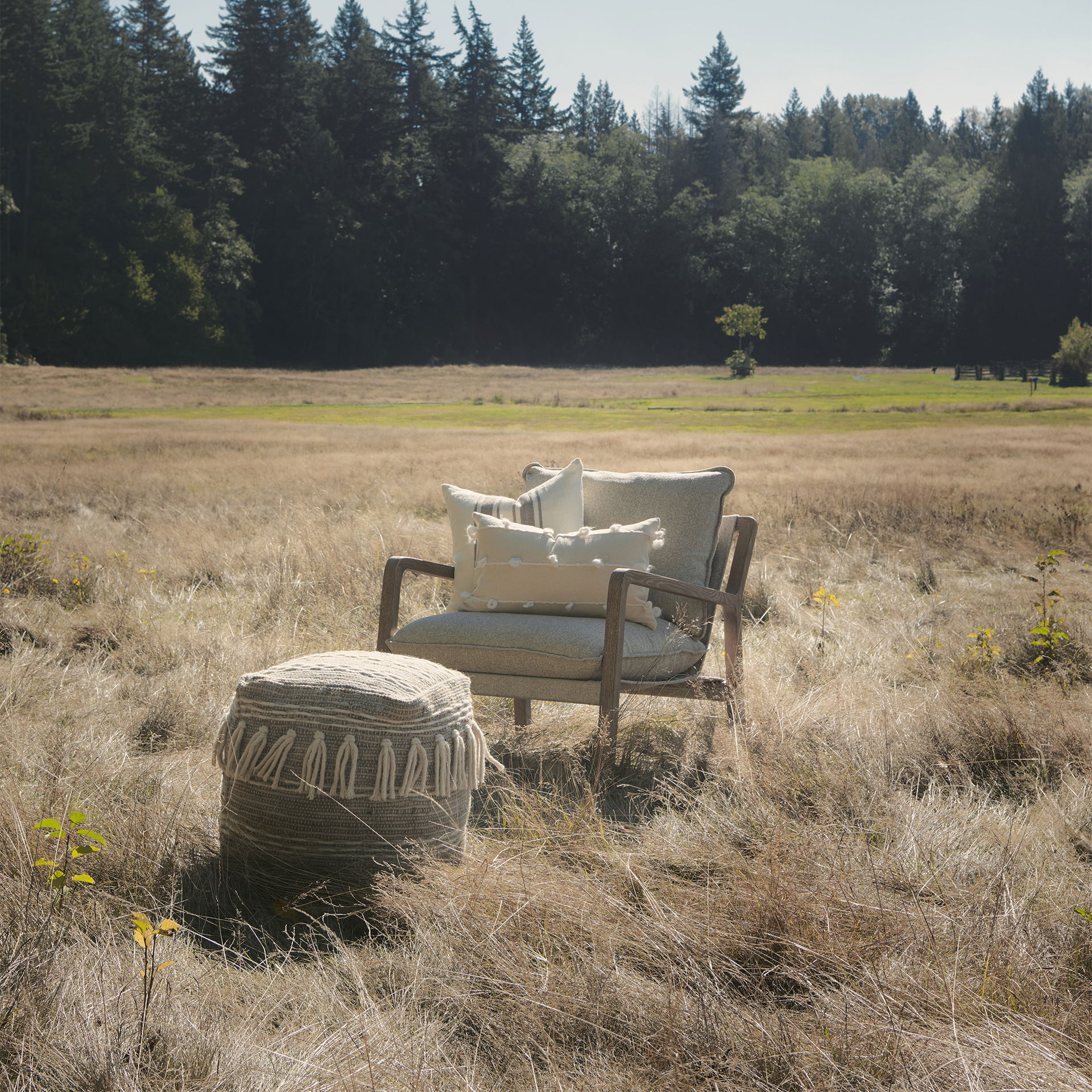 Brayden 28.3L x 34.1W x 35H Light Brown Wood with Beige Fabric Seat Accent Chair large image 