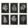 Foliage Framed Prints Set/6, Art by Uttermost, 25.75" width x 33.75" height x 2.25" depth thumbnail 1