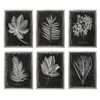 Foliage Framed Prints Set/6, Painting by Uttermost, 25.75" width x 33.75" height x 2.25" depth thumbnail 1