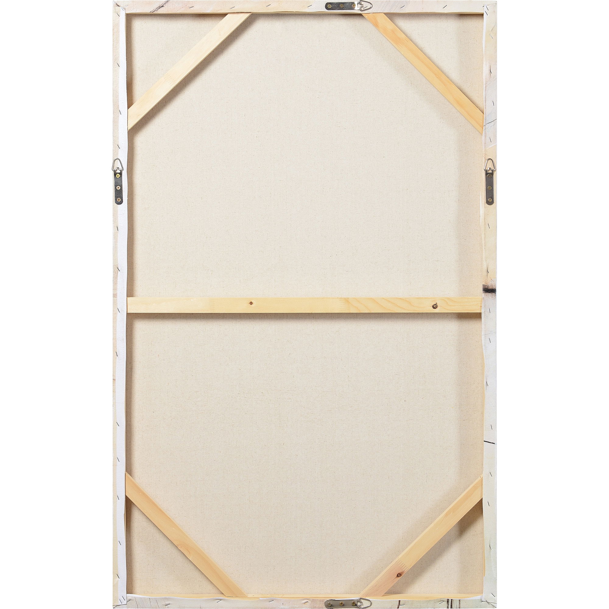 Curiosity Canvas Art large image 