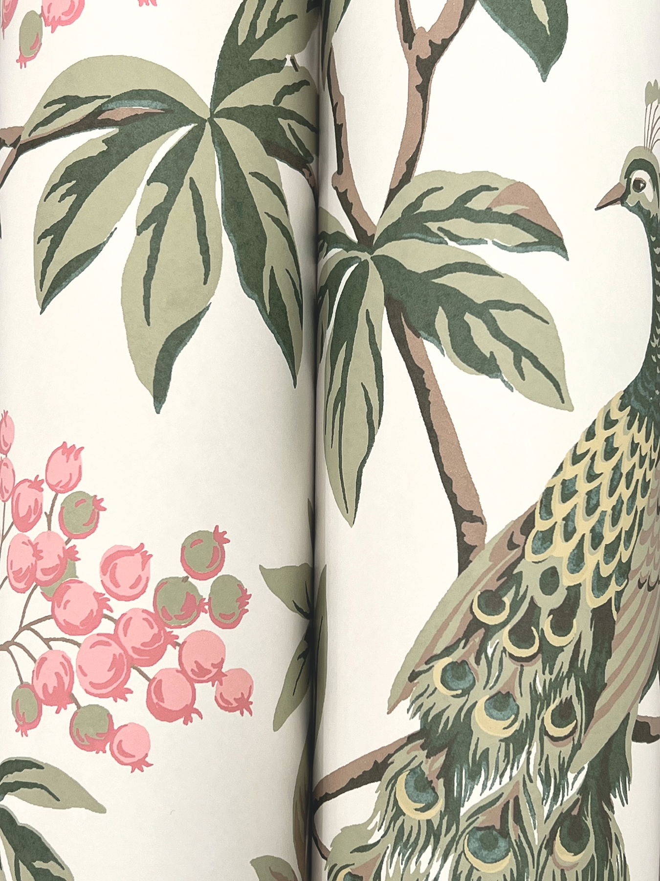 Peacock Estate Cream Wallpaper large image 