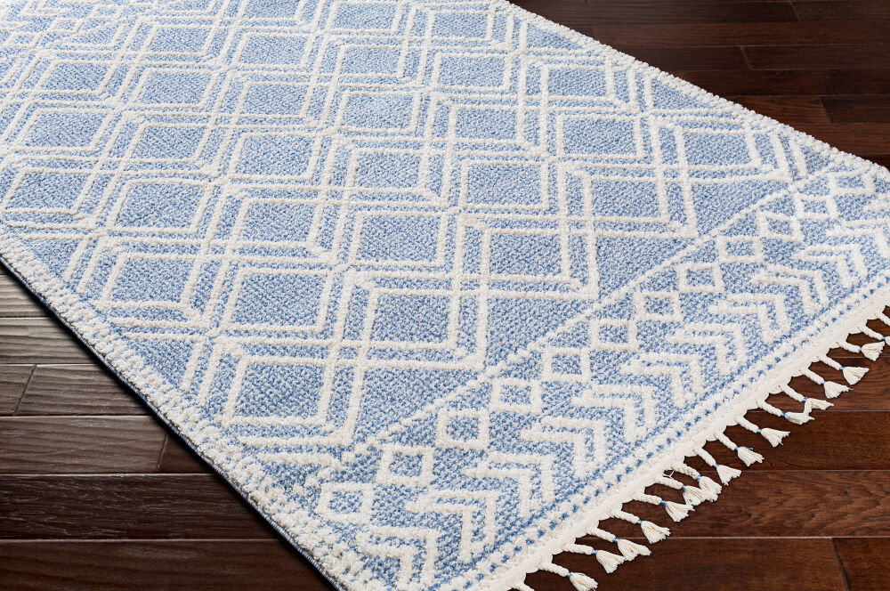 Valencia Machine Woven Rug, by Surya, 3' length x 2' width