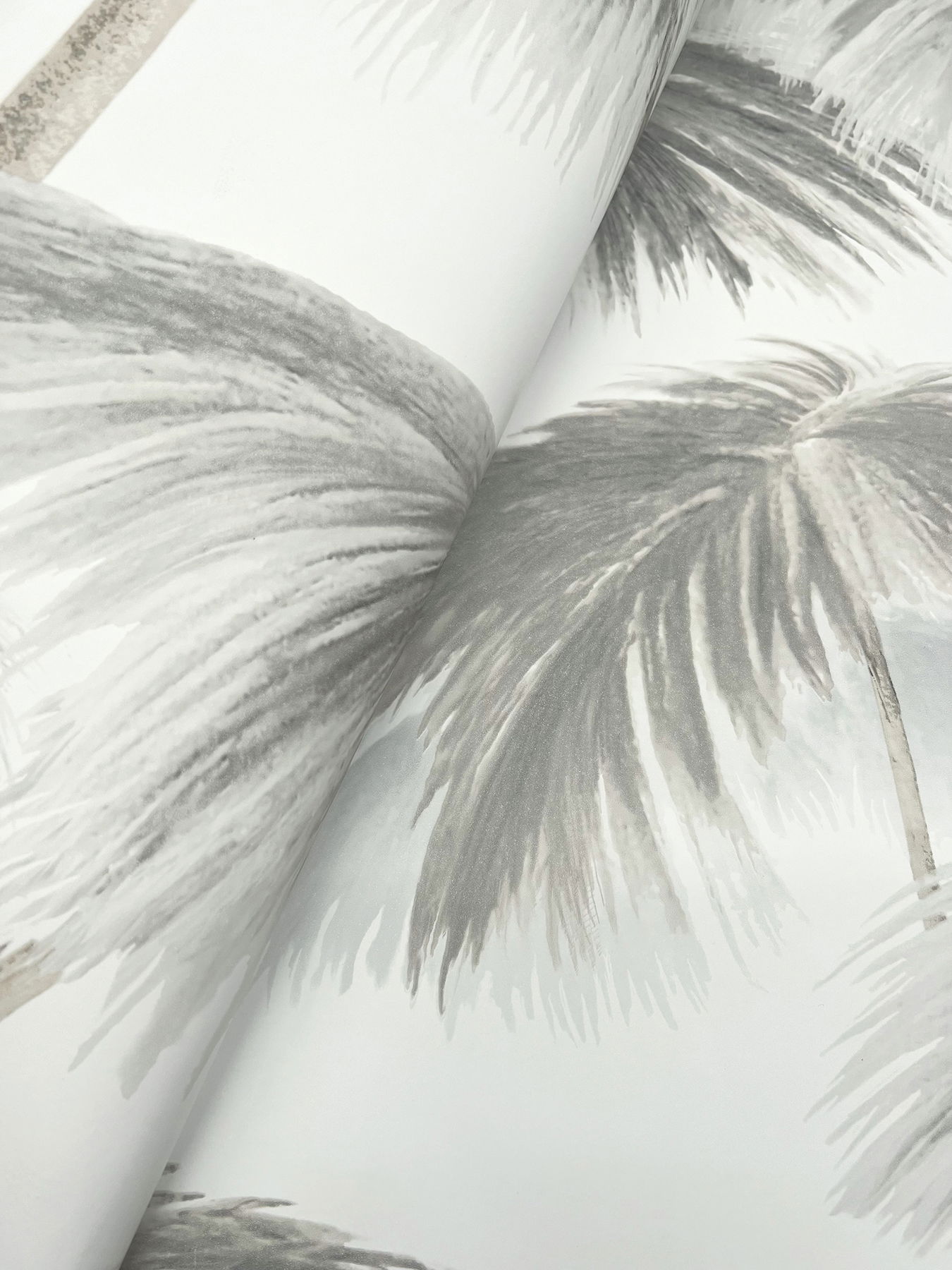 Plein Air Palms Black & White Wallpaper large image 