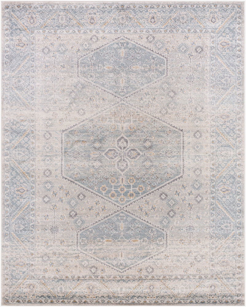 Alpharetta Machine Woven Rug, by Surya, 1'3.75" length x 1'3.75" width