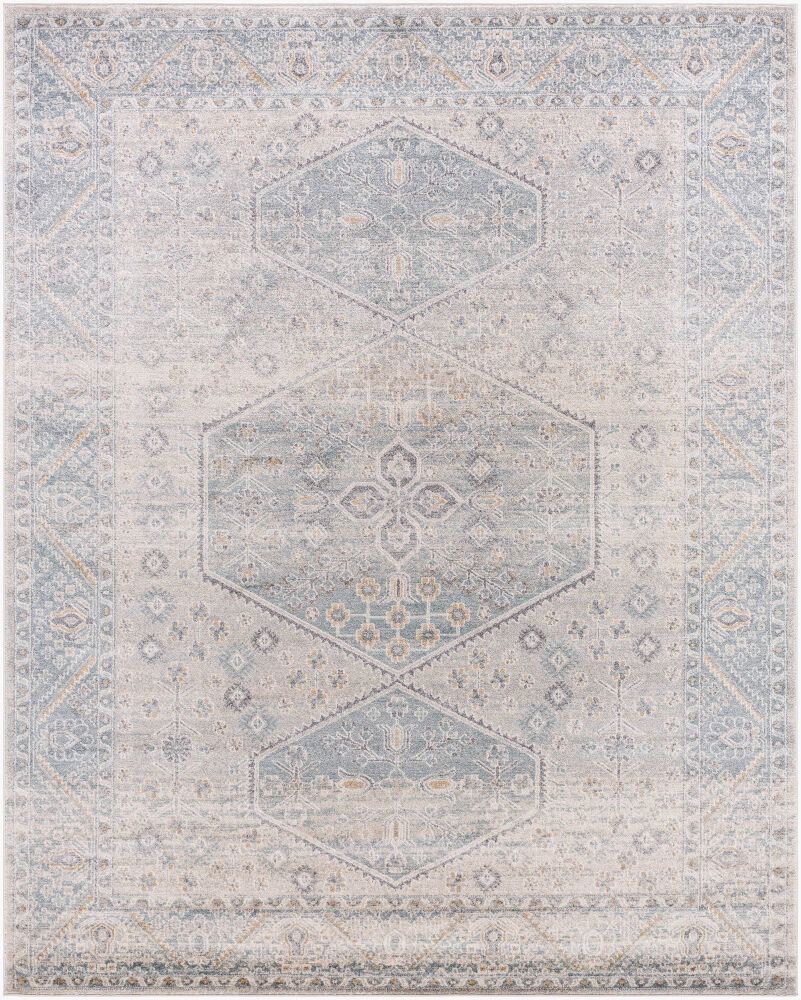 Alpharetta Machine Woven Rug, by Surya, 1'3.75" length x 1'3.75" width