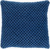 Godavari Accent Pillow, Decorative Pillow by Surya, 20" length x 20" width thumbnail