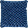Godavari Accent Pillow, Decorative Pillow by Surya, 22" length x 22" width thumbnail