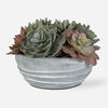 Peoria Succulent Accent thumbnail 0