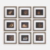 Resting Bunny Framed Prints Set/9, Painting by Uttermost, 18" width x 16" height x 1.75" depth thumbnail 1