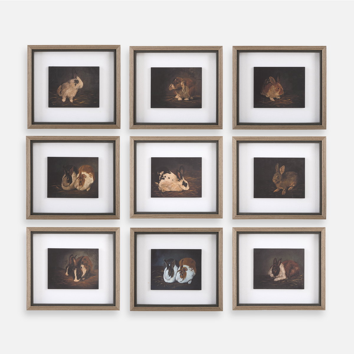 Resting Bunny Framed Prints Set/9, by Uttermost, 1'6" width x 1'4" height x 1.75" depth View 1