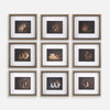 Resting Bunny Framed Prints Set/9, by Uttermost, 1'6" width x 1'4" height x 1.75" depth thumbnail 1